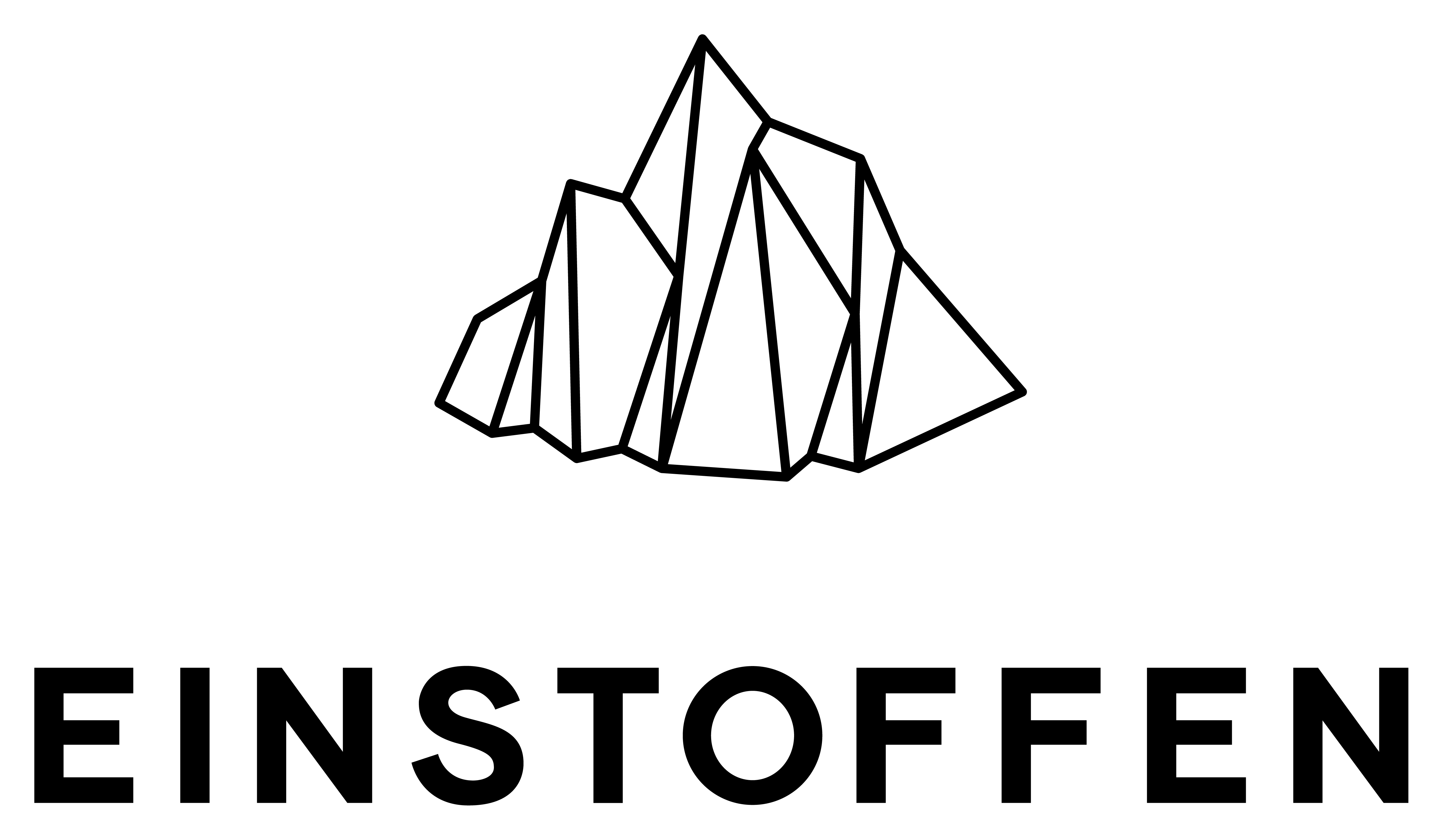 einstoffen-logo